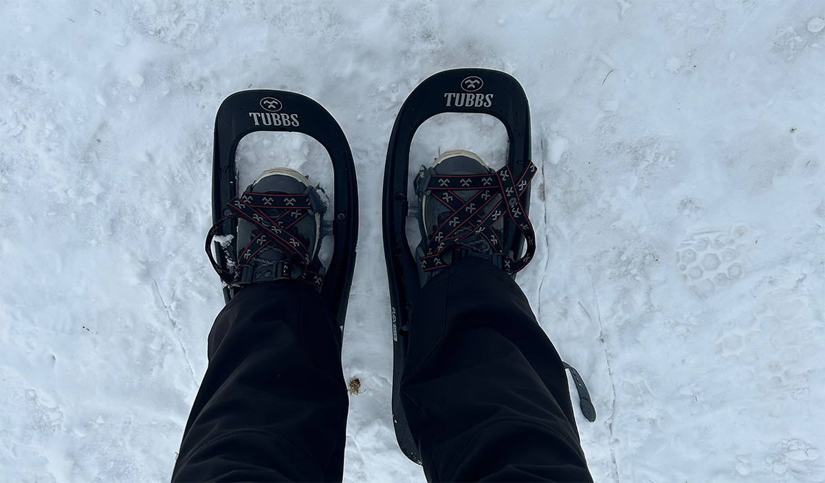 Sneeuwschoenwandeling Schladming-Dachstein